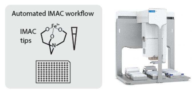Global phosphoproteomics