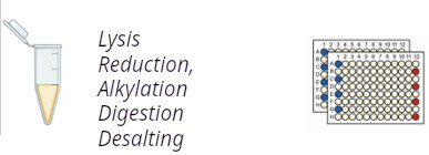 In-solution digestion