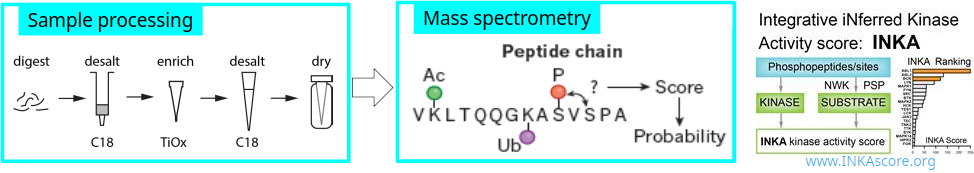 Phospho-proteomics