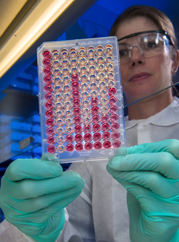 A female scientist in protective gear examines a microplate in the laboratory.