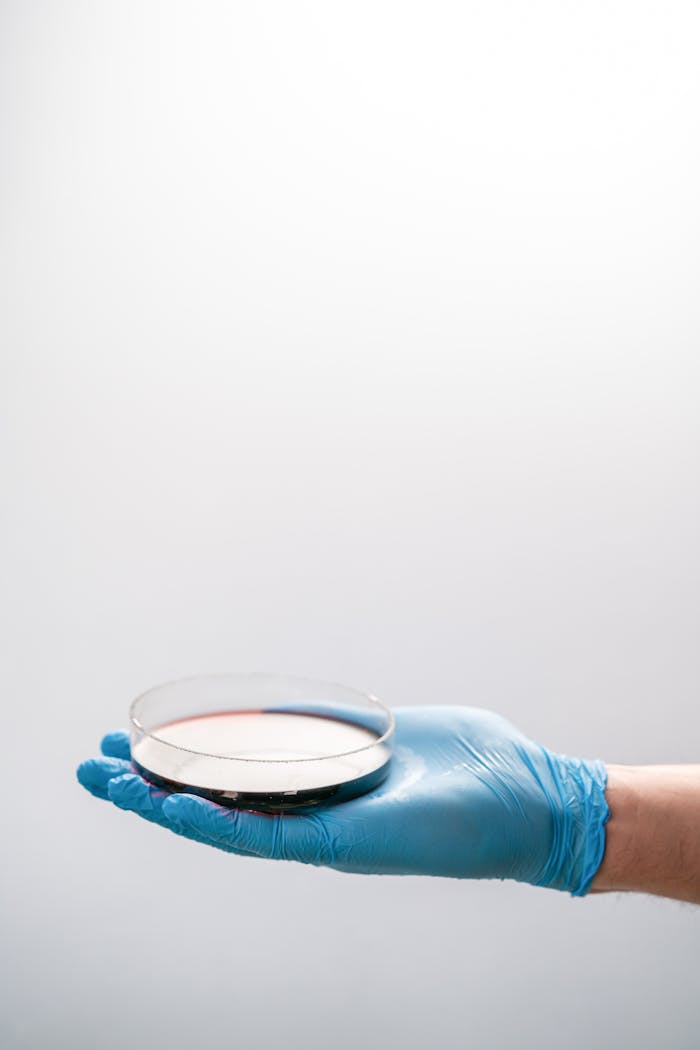 Close-up of a gloved hand holding a petri dish, ideal for science and research themes.