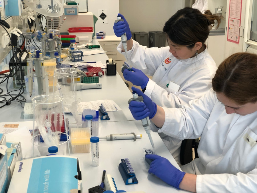 Services labelfree proteomics
