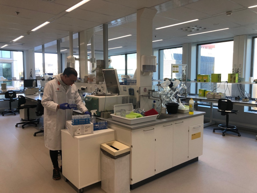 Services phospho-proteomics
